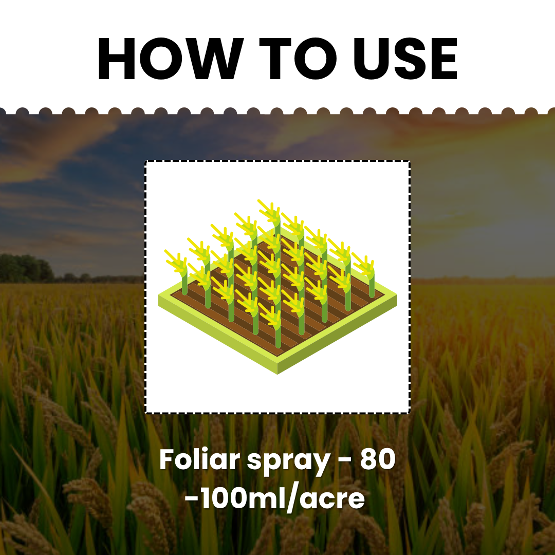 Katyayani Garuda | Bispyribac Sodium 10 % SC | Broad Spectrum Systemic Herbicide For Rice Crop