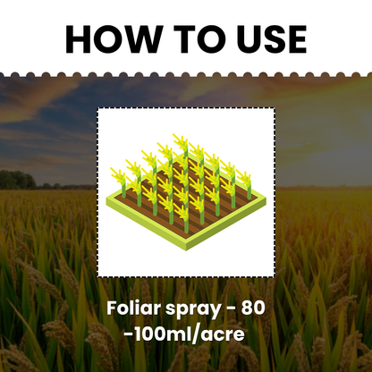 Katyayani Garuda | Bispyribac Sodium 10 % SC | Broad Spectrum Systemic Herbicide For Rice Crop