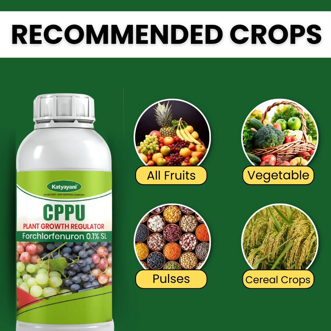 Katyayani CPPU | Forchlorfenuron 0.1 % L | Plant Growth Regulator