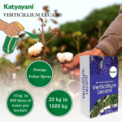 Katyayani Verticillium Lecanii | Powder Bio Insecticide