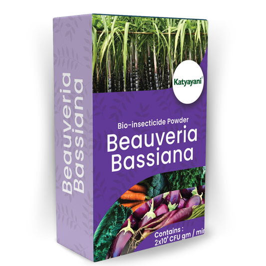Katyayani Beauveria Bassiana Bio Insecticide Powder
