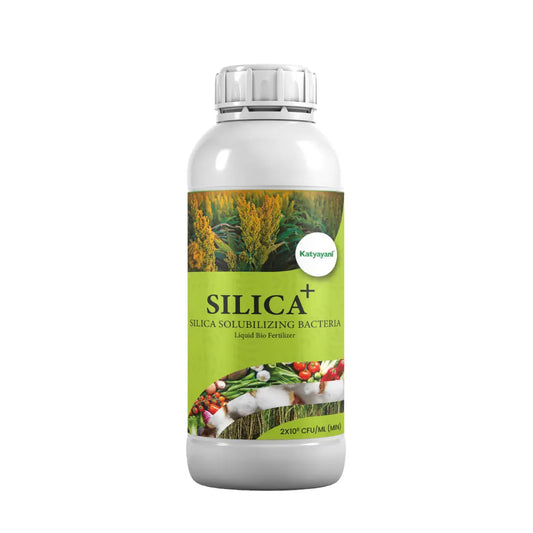 KATYAYANI SILICA + | SILICA SOLUBILIZING BACTERIA