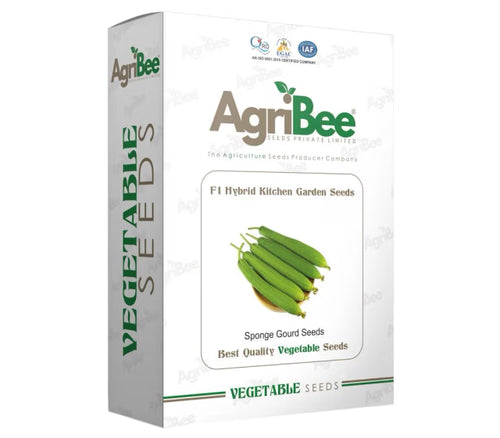 AgriBee F1 Hybrid SpongeGourd Seeds 5gm x 5 pack) = 1 Box