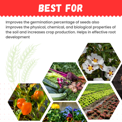 Katyayani Prom Organic Fertilizer | Phosphate Rich Manure