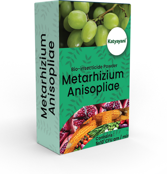 Katyayani Metarhizium Anisopliae | Powder Bio Insecticide