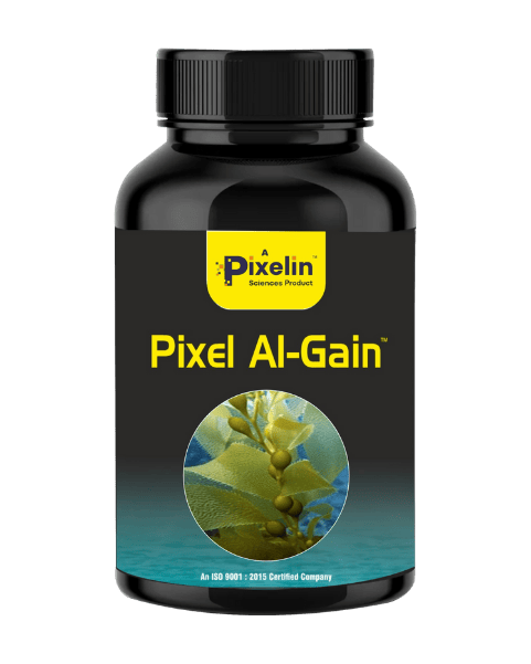 AL-GAIN : Seaweed Extract – Premium Biostimulant for Healthy, High-Yield Crops - 100 gms