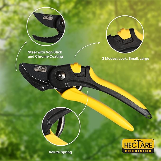 HECTARE Anvil Pruning Secateurs - Heavy Duty Garden Clippers for Dry & Hard Wood, Comfort Grip, Stainless Steel Blades, Ideal for Thicker Branches