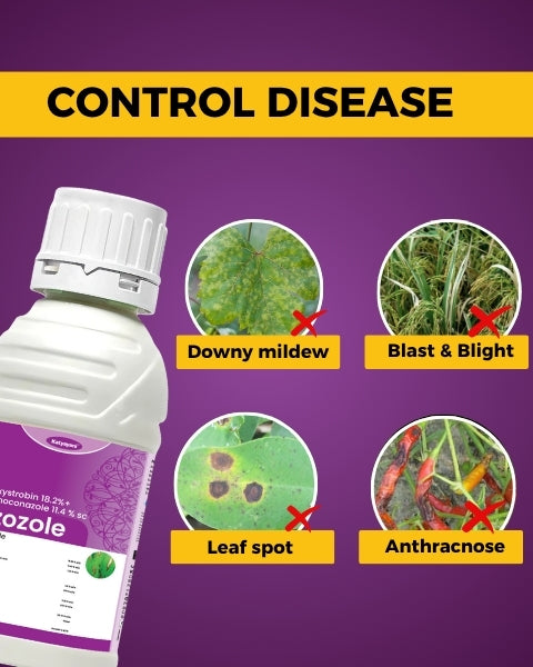 Katyayani Azozole Chemical Fungicide | Azoxystrobin 18.2 % + difenoconazole 11.4 % SC | Katyayani