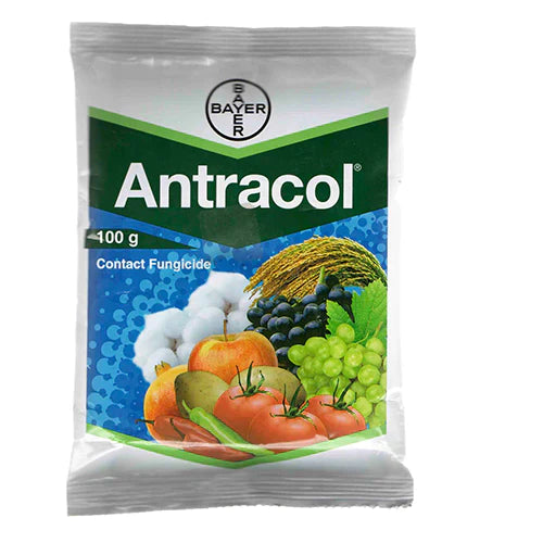 Antracol Fungicide