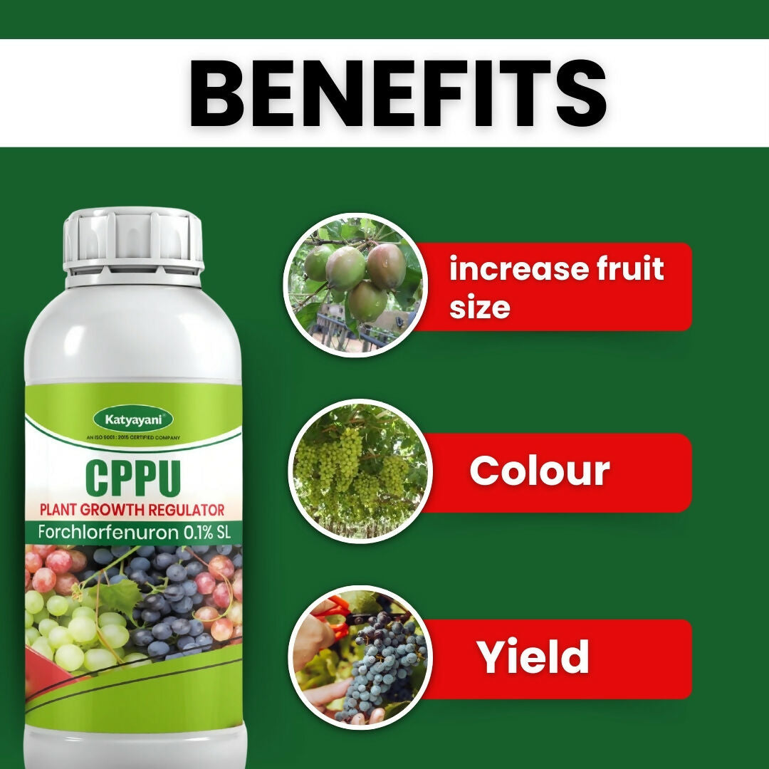 Katyayani CPPU | Forchlorfenuron 0.1 % L | Plant Growth Regulator