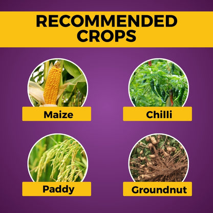 Katyayani Azodharma – Advanced Systemic Fungicide for Comprehensive Crop Protection