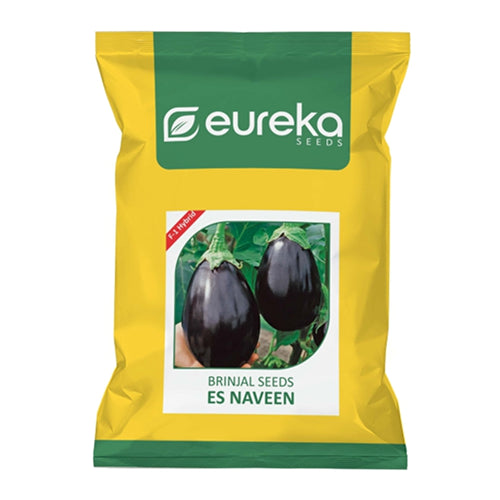 BRINJAL ES NAVEEN F1 HYBRID