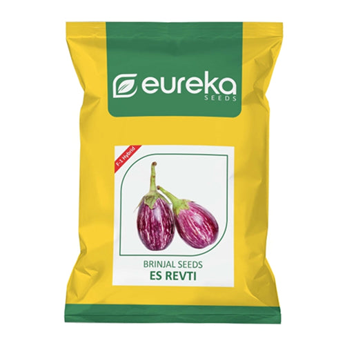 BRINJAL ES REVTI F1 HYBRID