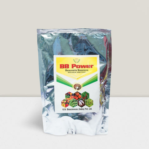 Beauveria bassiana(BB Power): Your Go-To Bio Pesticide for Sustainable Agriculture