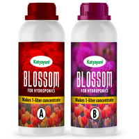 Katyayani Blossom | Hydroponic Nutrients Tomatoes & Veggies - 400