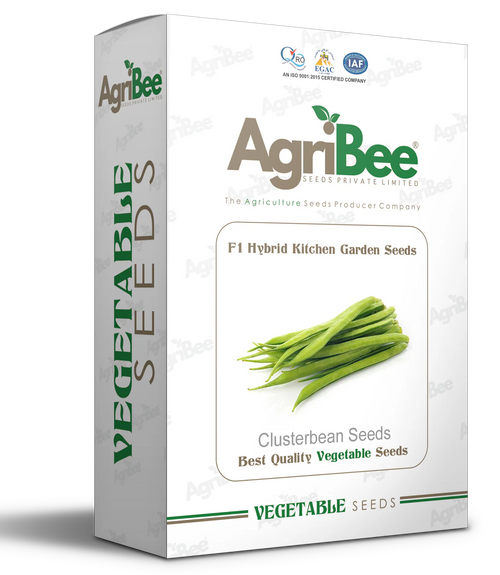 AgriBee F1 Hybrid Clusterbean Seeds (10gm x 5 pack) = 1 Box