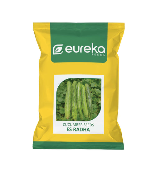 CUCUMBER ES RADHA IMPROVED
