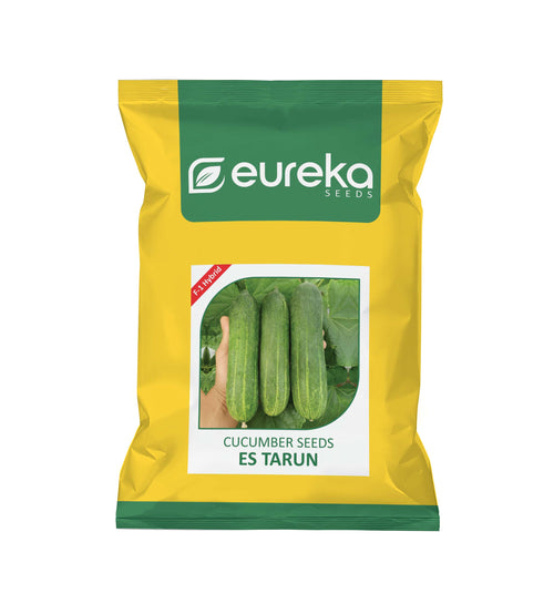 CUCUMBER ES TARUN F1 HYBRID
