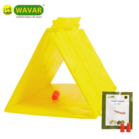 Delta Trap with Plutella Xylostella