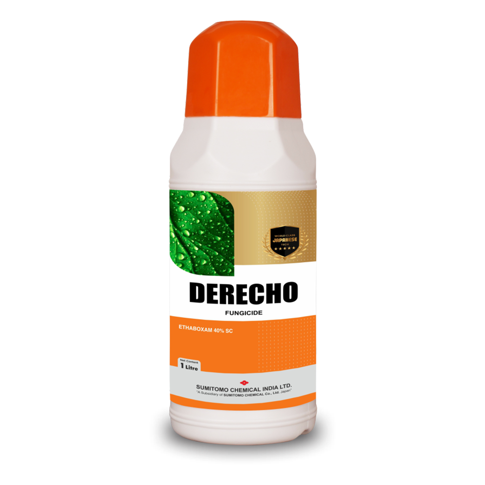 Derecho_fungicide_price