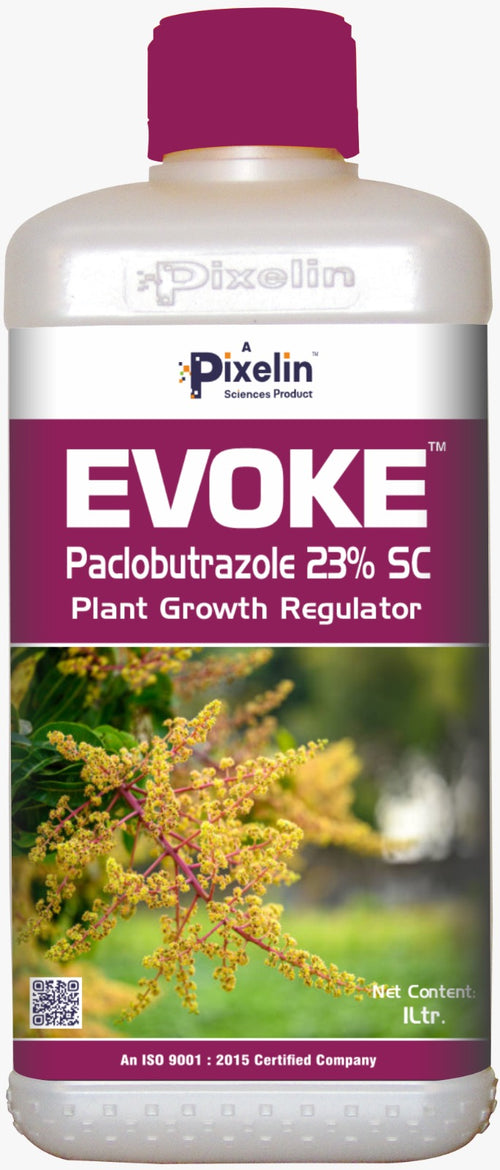 EVOKE™ – Paclobutrazole 23% SC Advanced Plant Growth Regulator for Enhanced Flowering & Yield