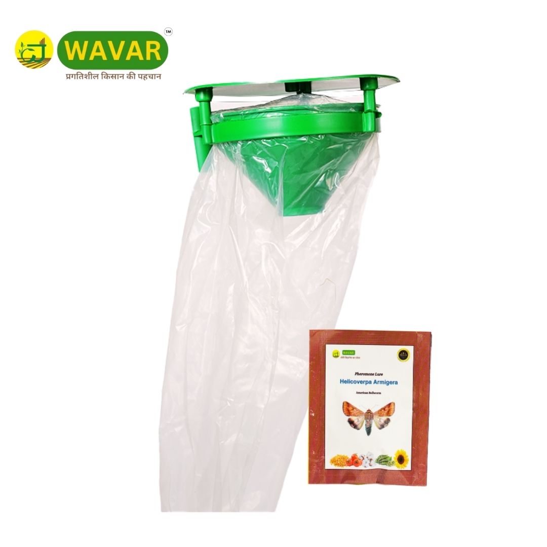 Funnel Trap with Helicoverpa armigera