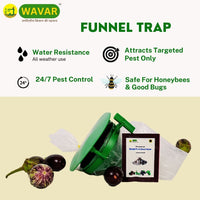 Funnel Trap with Brinjal fruit shoot borer