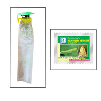 Pheromone Traps and Helicoverpa armigera  Lures  (pack of 10 Traps and 10 Lures)