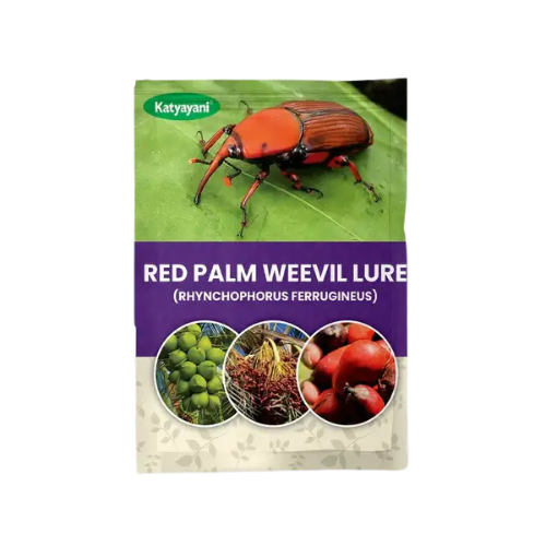 Katyayani Red Palm Weevil Lure (RHYNCHOPHORUS FERRUGINEUS)