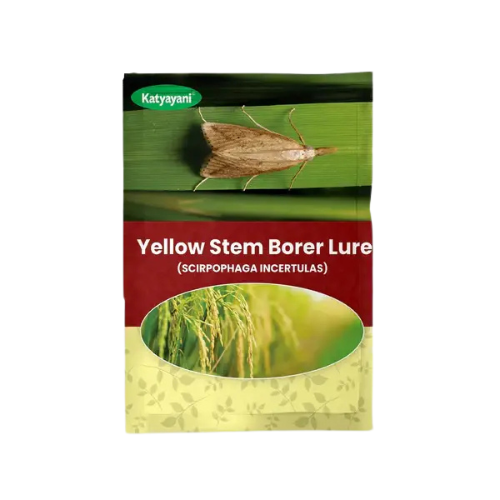 Katyayani Yellow Stem Borer Lure (SCIRPOPHAGA INCERTULAS)