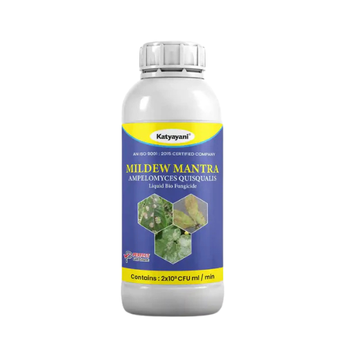 Katyayani Mildew Mantra | Ampelomyces quisqualis | Liquid Bio Fungicide