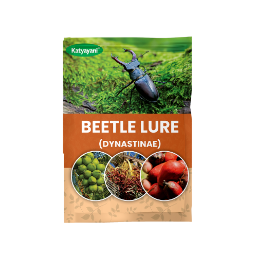 katyayani Beetle Lure (DYNASTINAE)