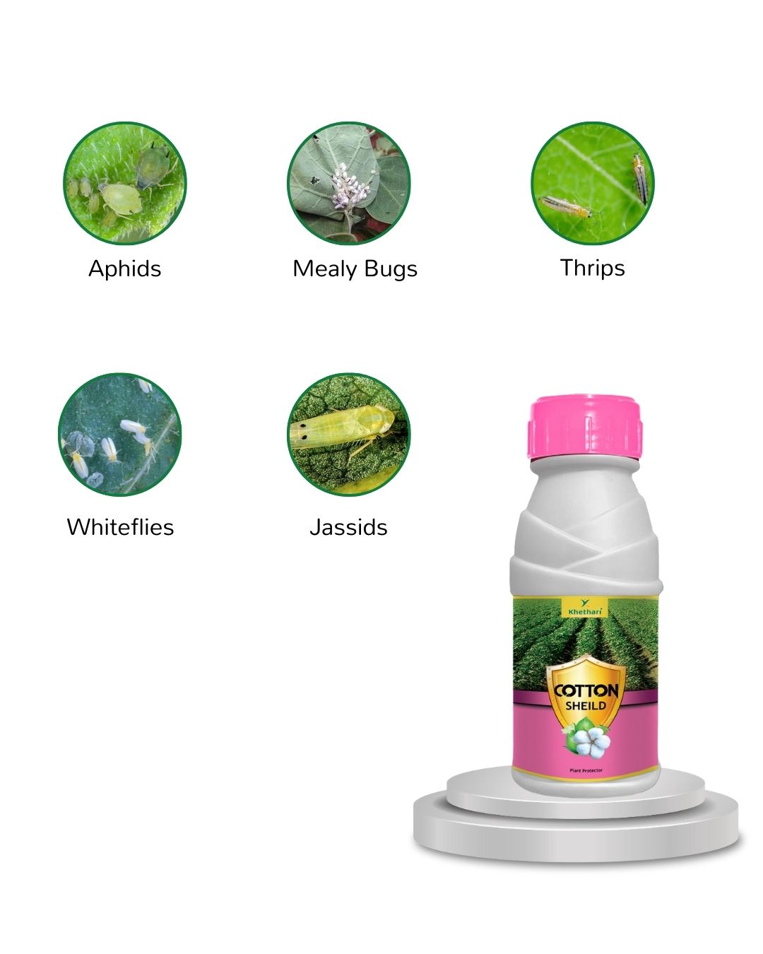 Cotton shield : Destroy Sap Sucking Pests in Your Crop