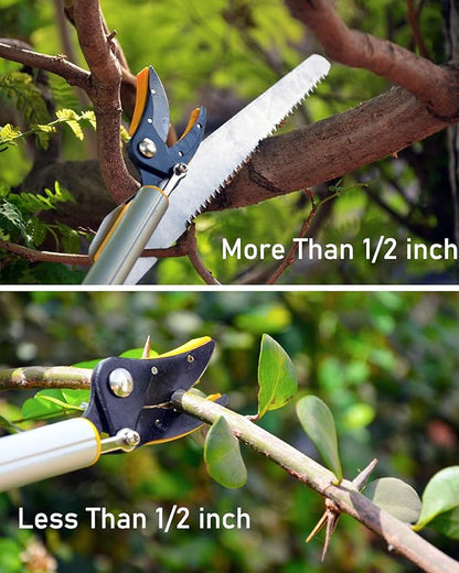 HECTARE Long Reach Pruner & Fruit Harvester - 10 ft Telescopic Aluminum Pole Saw with Cut and Hold Feature for Thin Branches, Lightweight Design