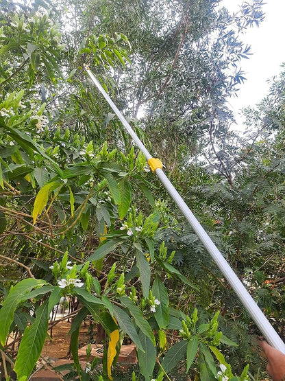 HECTARE Long Reach Pruner & Fruit Harvester - 10 ft Telescopic Aluminum Pole Saw with Cut and Hold Feature for Thin Branches, Lightweight Design