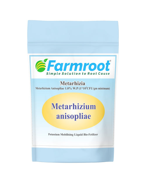 Metarhizium Anisopliae Biopesticide (433/- Rs)