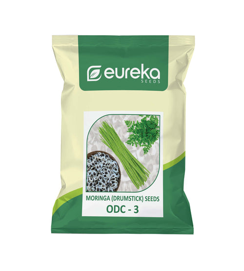 MORINGA (DRUMSTICK) SEEDS ODC-3