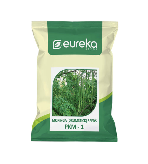 MORINGA (DRUMSTICK) SEEDS PKM-1