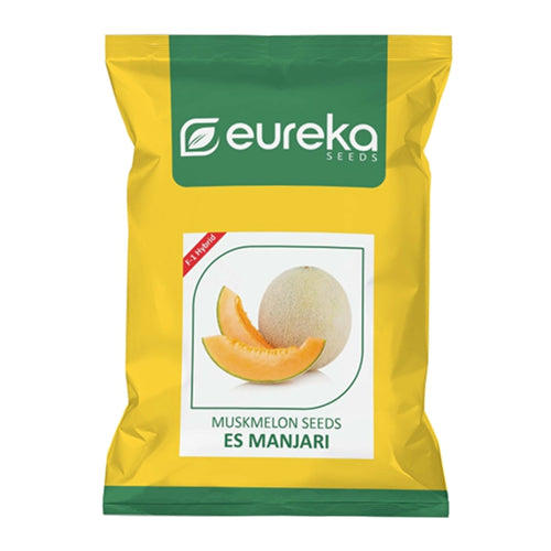 MUSKMELON ES MANJARI F1 HYBRID