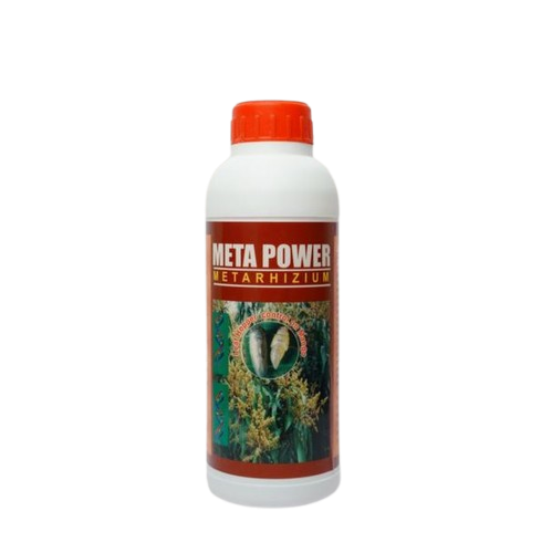 Meta Power: The Best Biopesticide for Successful Termite Management