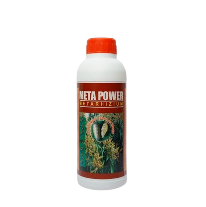 Meta Power: The Best Biopesticide for Successful Termite Management