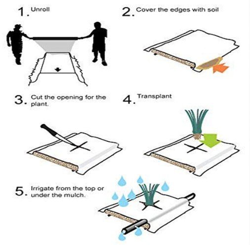 Mulching sheets - Khethari