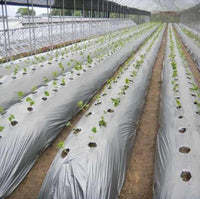 Mulching sheets