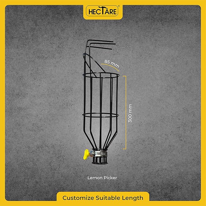 Hectare Multi-Purpose Small Fruit Picker & Plucker Basket | Ideal for Lemon, Chiku, Sapota and Amla Harvesting | Lightweight Manual Gardening Tool | Durable Fruit Catcher for Easy Picking
