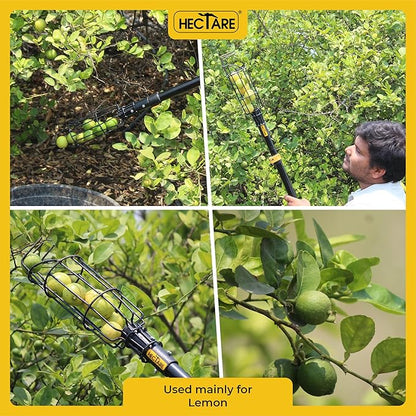 Hectare Multi-Purpose Small Fruit Picker & Plucker Basket | Ideal for Lemon, Chiku, Sapota and Amla Harvesting | Lightweight Manual Gardening Tool | Durable Fruit Catcher for Easy Picking