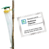 Pheromone Traps and Mythimna separata lures (pack of 10 Traps and 10 Lures) recommended for Sorghum, Maize, Khabbal grass, Gram, Rice, and Sugarcane.