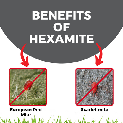 Katyayani Hexamite | Hexythiazox 5.45% EC | Chemical Insecticide