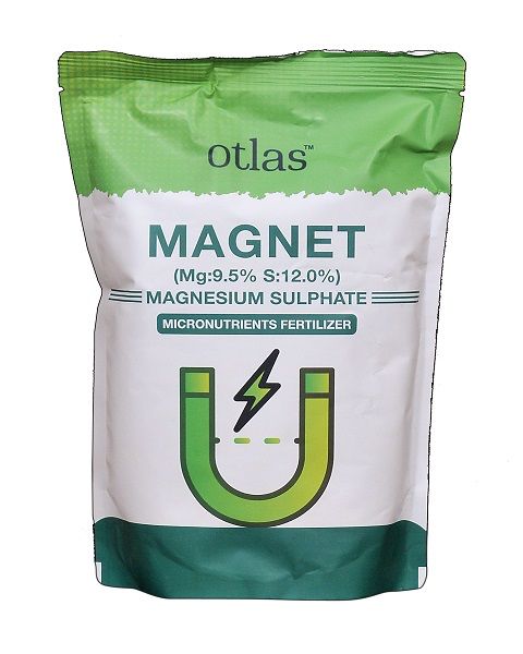 Otlas Magnet: Magnesium Sulphate
