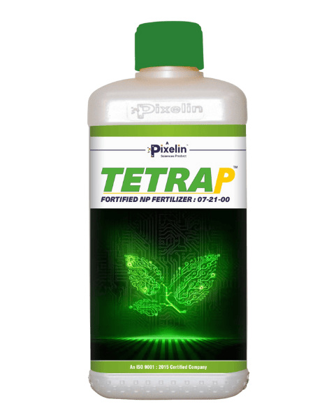 TETRA‑P (00-21-00) – Fortified NP Fertilizer with Micronutrients for Enhanced Root, Shoot Growth and Higher Yields
