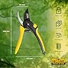 Hectare Precision Pruning Secateurs (Large bypass for green and soft branches)